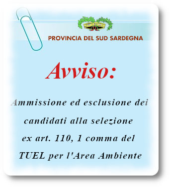 Ammissione ed esclusione dei candidati alla selezione ex art. 110, 1 comma del TUEL per l'Area Ambiente